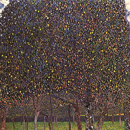 Pear Tree