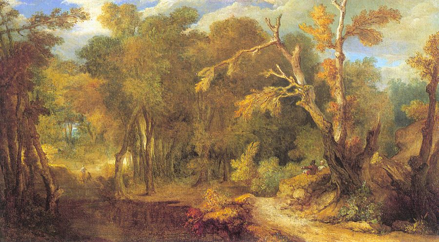 Wooded Landscape