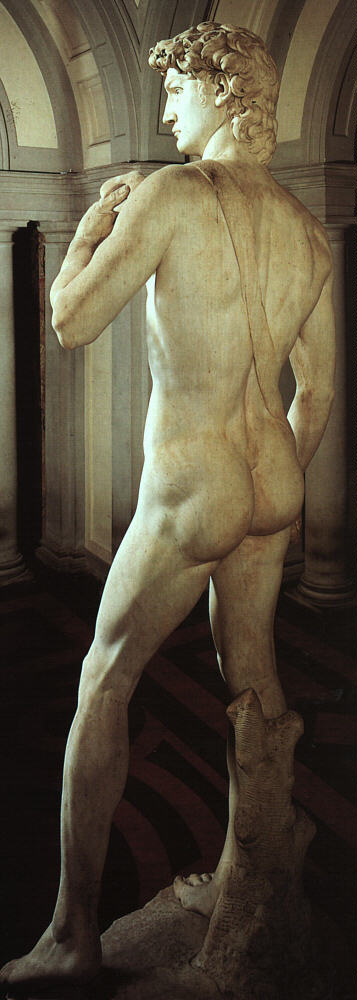 David (rear view)